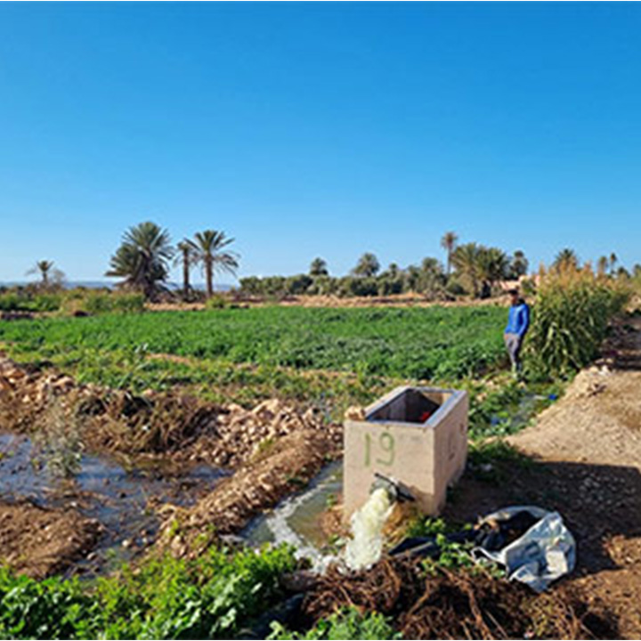 Sorbonne University Abu Dhabi