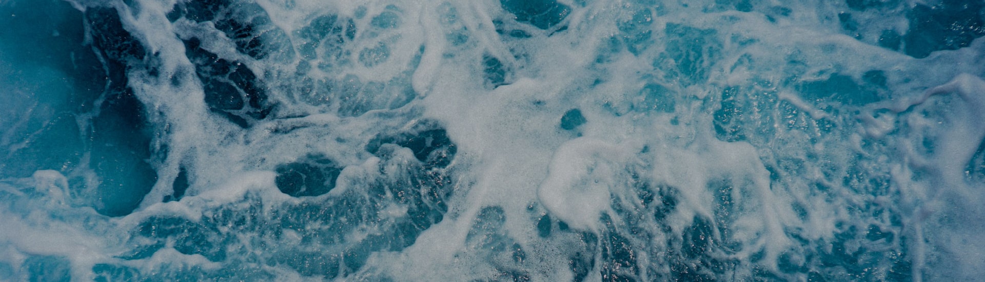 Sorbonne University Abu Dhabi