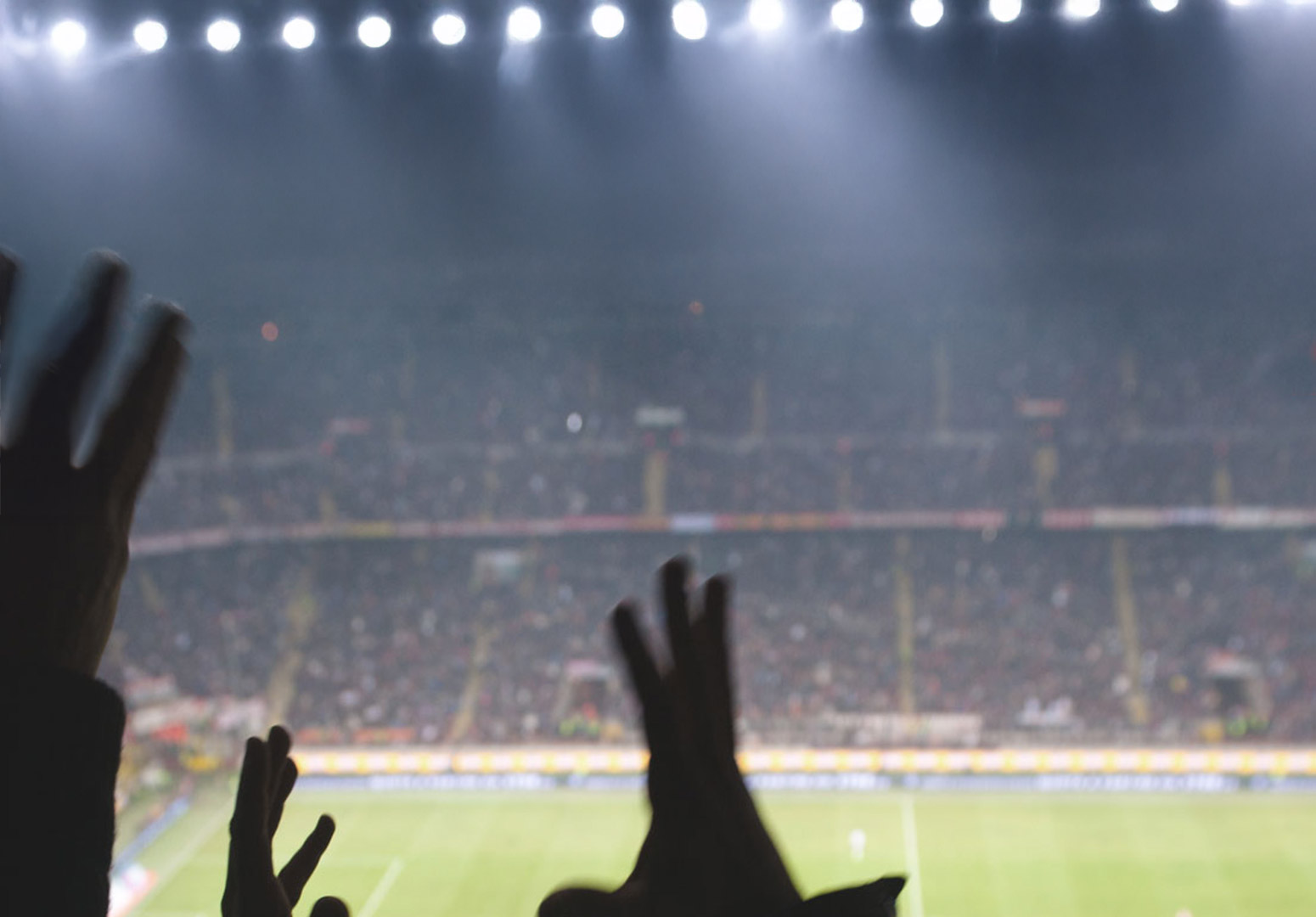 International Programme in Sports Management