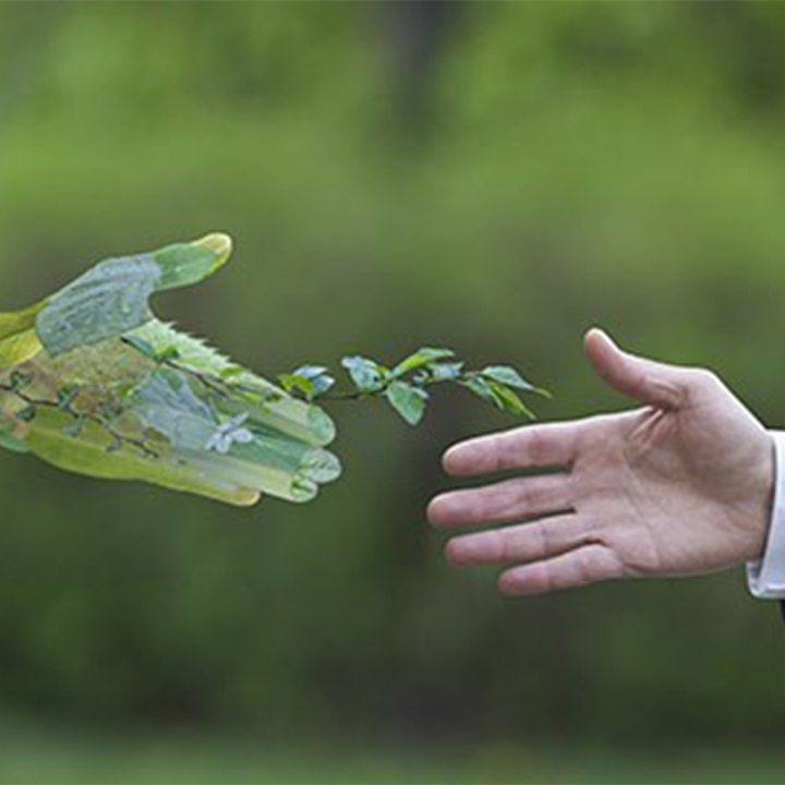 Sorbonne University Abu Dhabi
