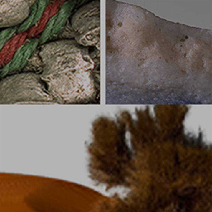 Sorbonne University Abu Dhabi