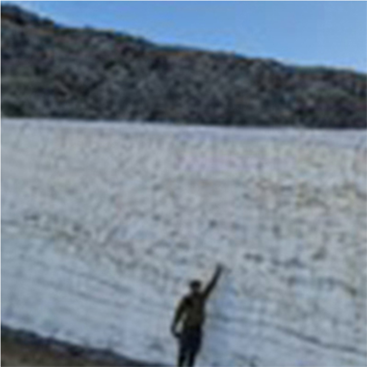 Sorbonne University Abu Dhabi