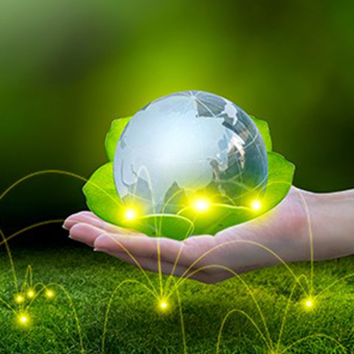 جامعة السوربون