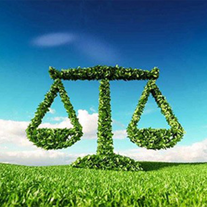 Sorbonne University Abu Dhabi