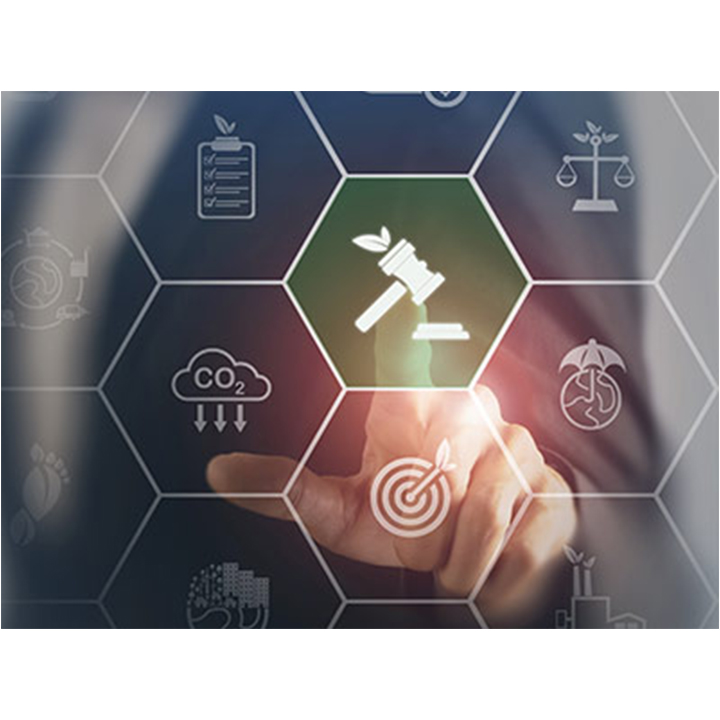 Sorbonne University Abu Dhabi