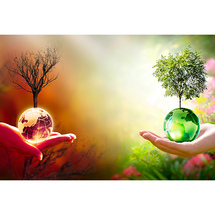 Sorbonne University Abu Dhabi