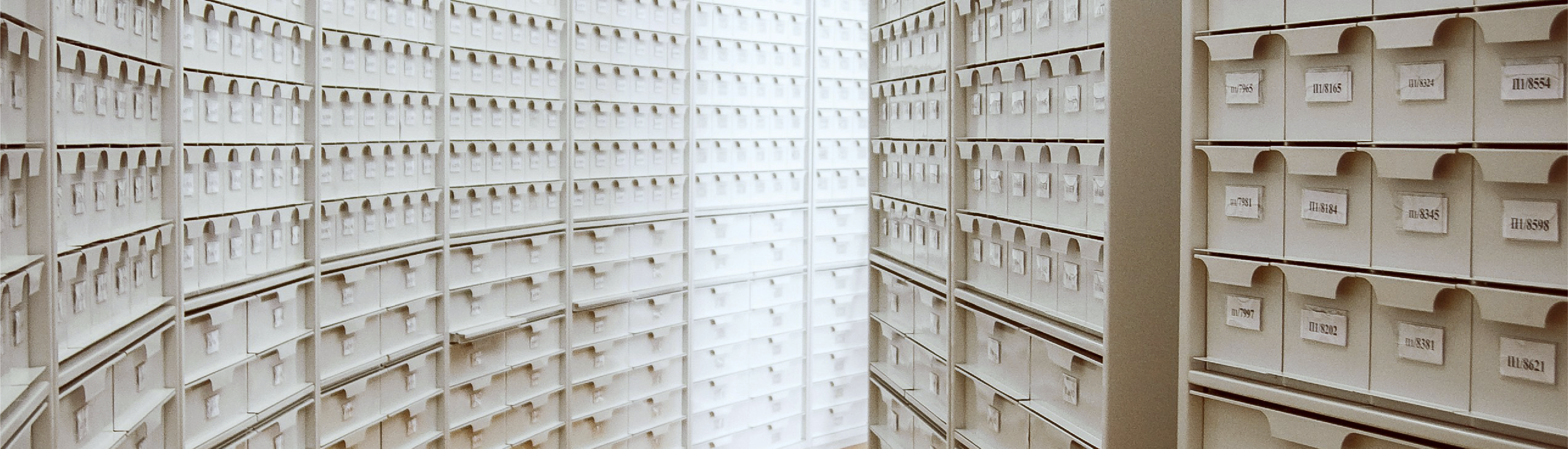 Seizième Institut de recherche en éducation et archives 2024[:]