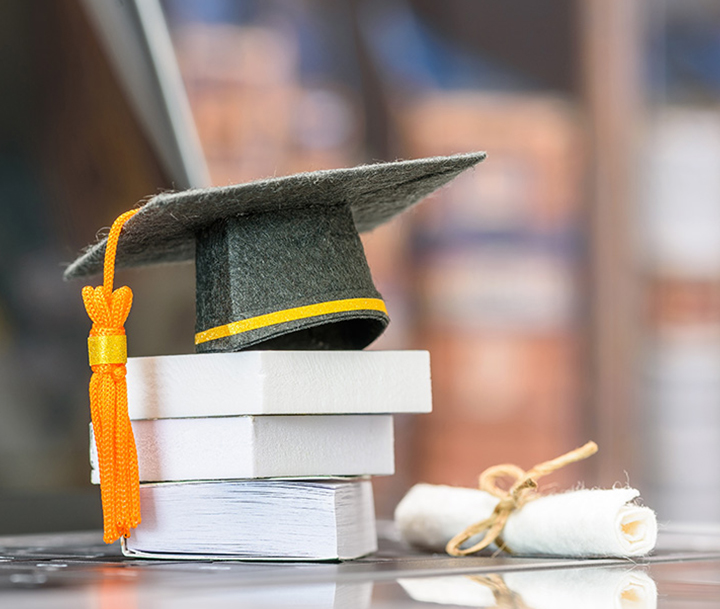 الحقائق والأرقام