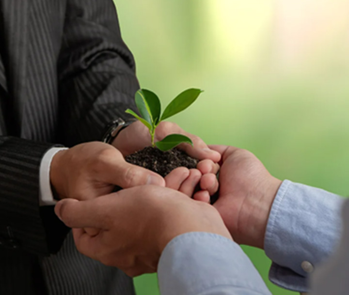 Sorbonne University Abu Dhabi