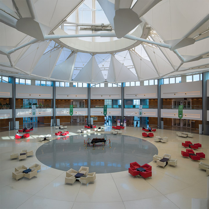 Sorbonne University Abu Dhabi