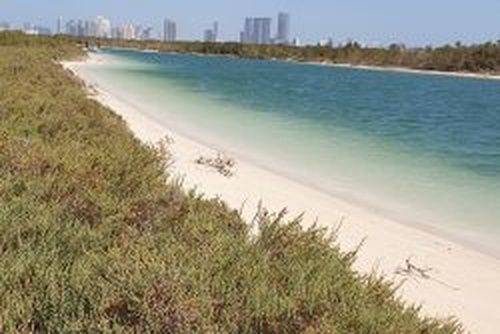 Sorbonne University Abu Dhabi
