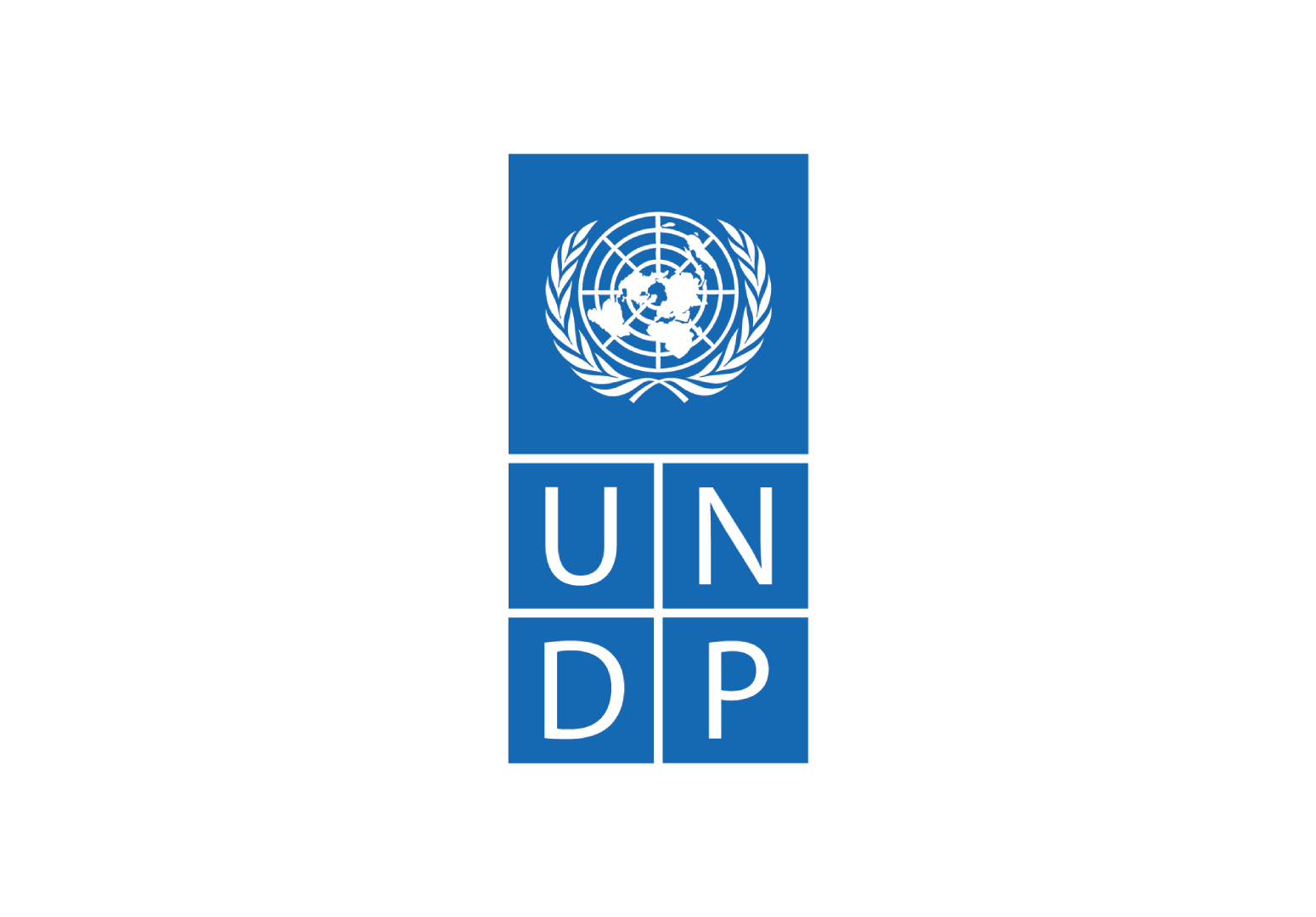 United Nations Development Programme (UNDP)