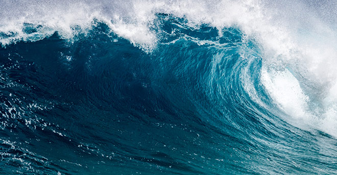 Nonlinear waves and solitons: from oceans to cold atoms and beyond