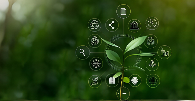 Workshop – Green Information Management for Sustainable Development