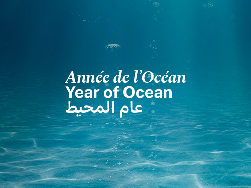 Sorbonne University Abu Dhabi Declares 2025 the Year of Ocean