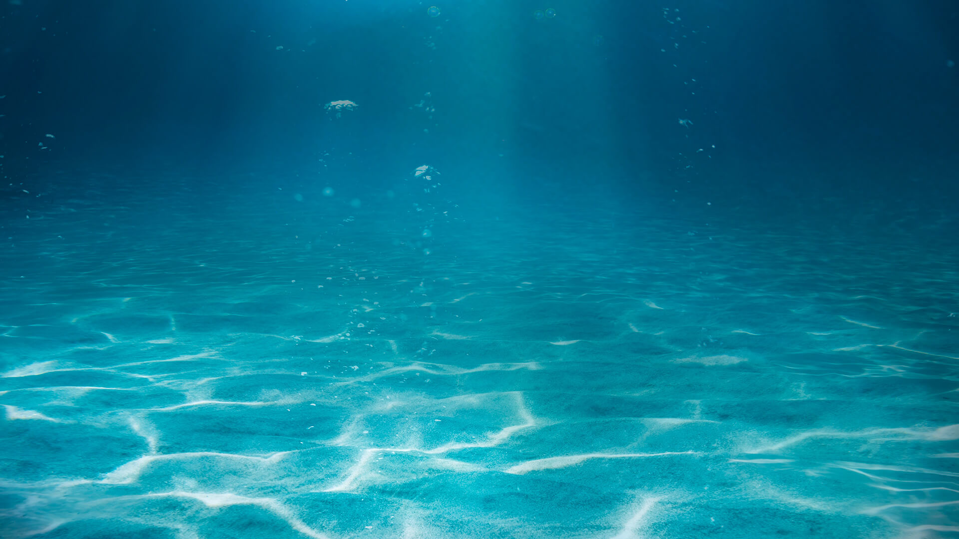SLIDER desktop year of ocean